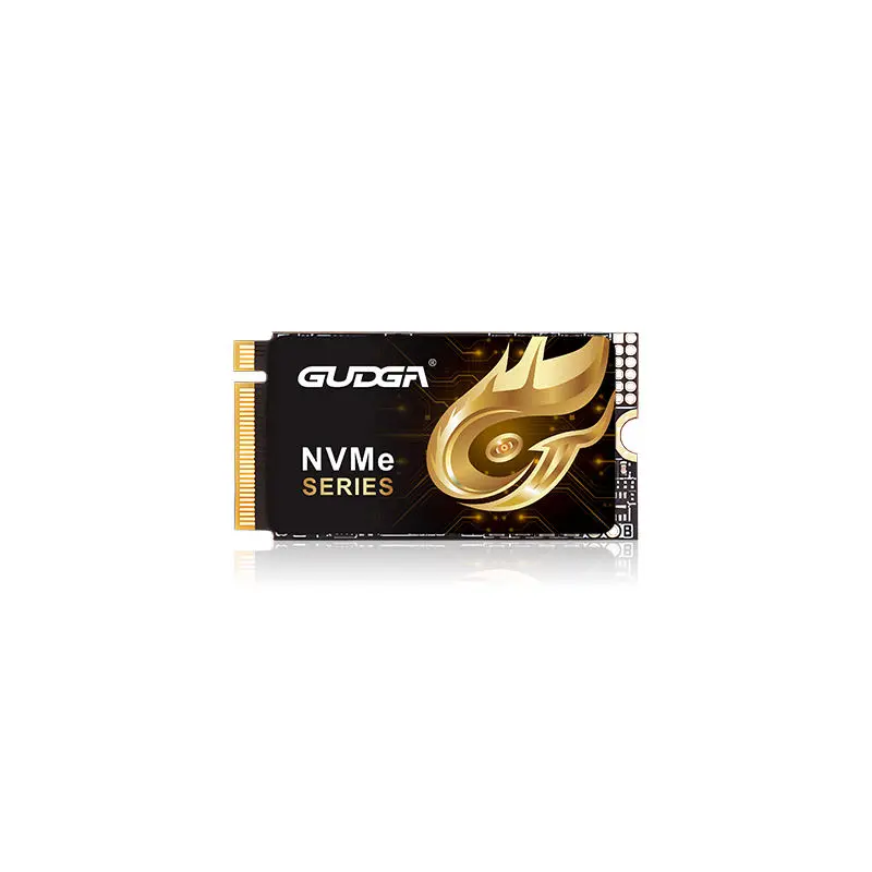 2242 Longitudo PCIE 4.0 NVMe SSD 7000MB/s